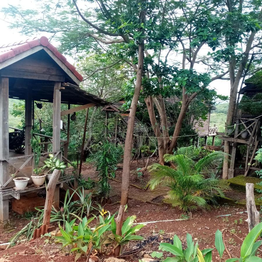 Quiet Garden View Lodge&Trekking Banlung 외부 사진